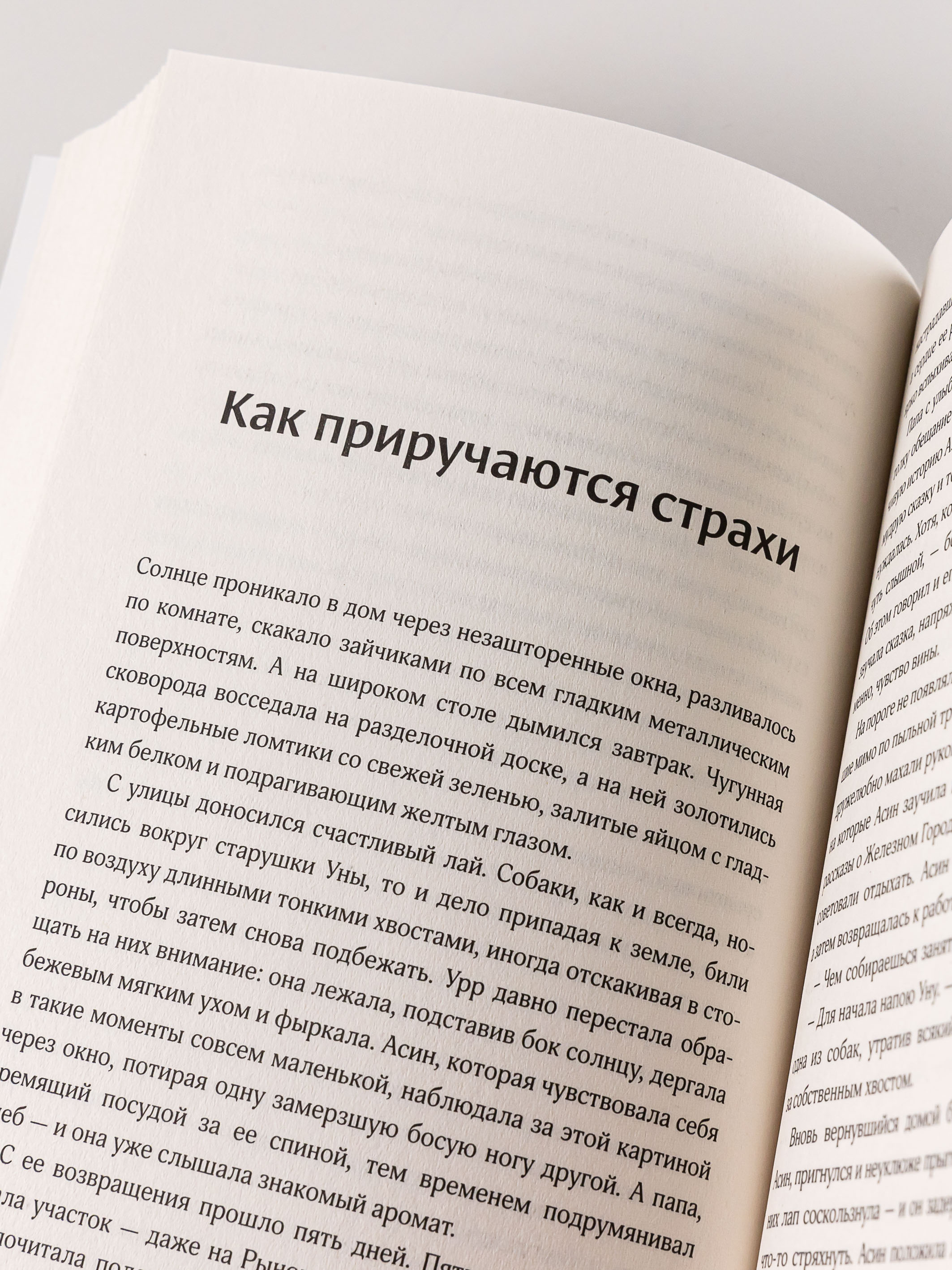 Книга Marshmallow Books Поймать океан - фото 10