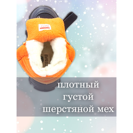 Ботинки Зебра