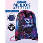 Мешок для обуви Brauberg неоновый кот