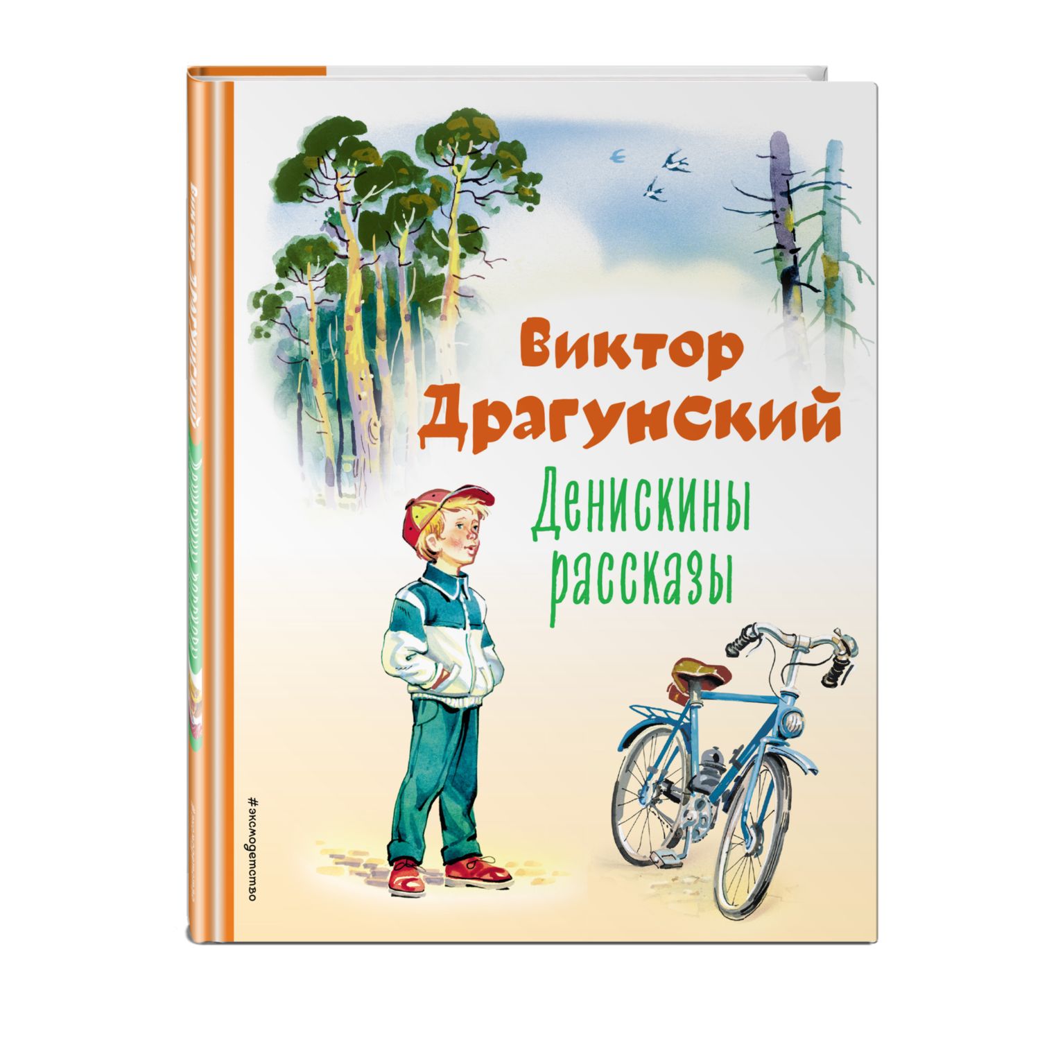 Книга Денискины рассказы иллюстрации Владимира Канивца - фото 1