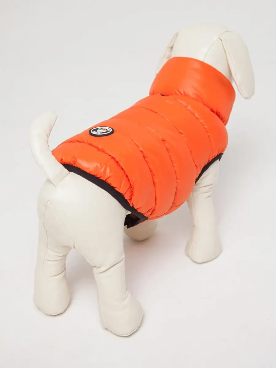 Жилет PIFPAF DOG двухсторонний - фото 3