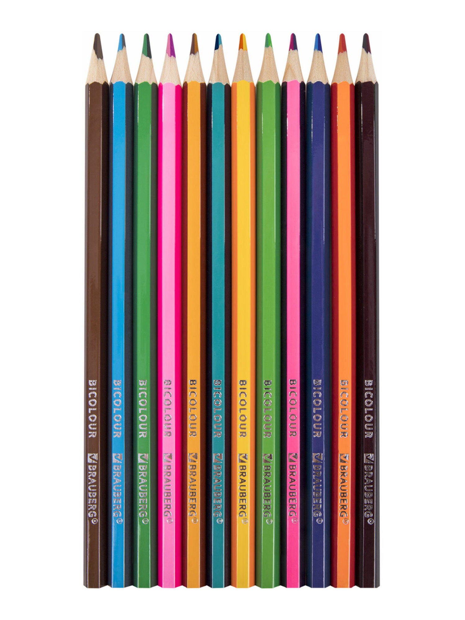 Карандаши цветные Brauberg 24 шт. - фото 8