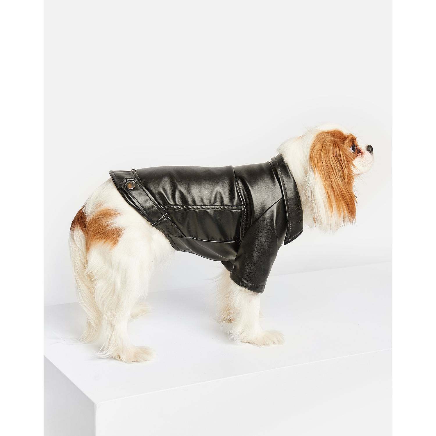 Куртка для собак Зоозавр черная 25 - фото 6