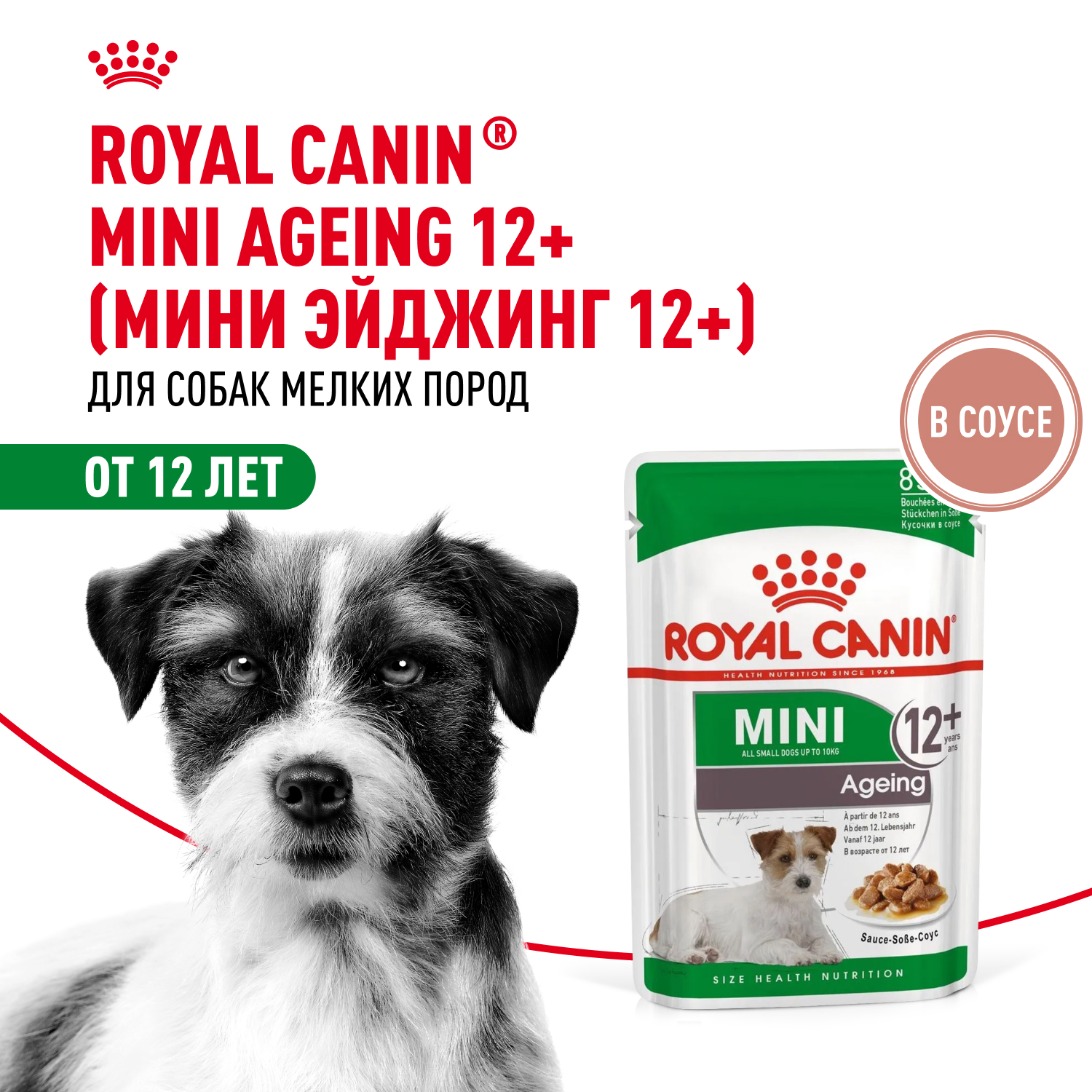 Корм для собак ROYAL CANIN Mini Ageing 12+ для стареющих собак мелких размеров 85г - фото 1