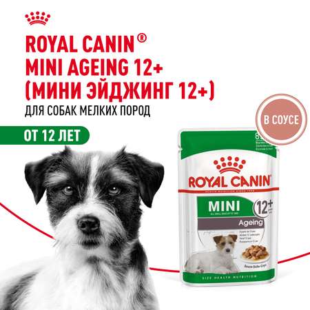 Корм для собак ROYAL CANIN Mini Ageing 12+ для стареющих собак мелких размеров 85г