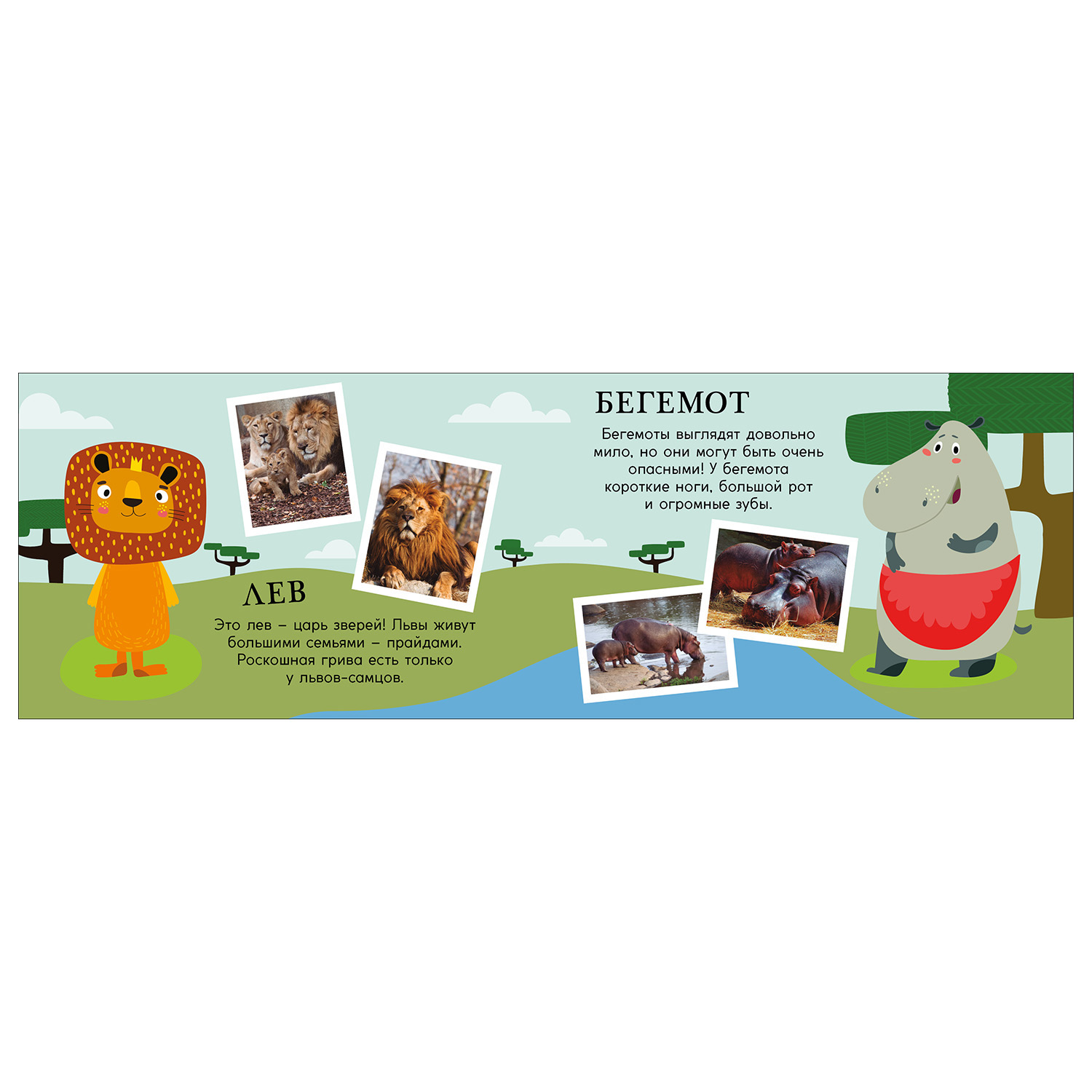 Книга Махаон Зоопарк Поезд знаний - фото 6