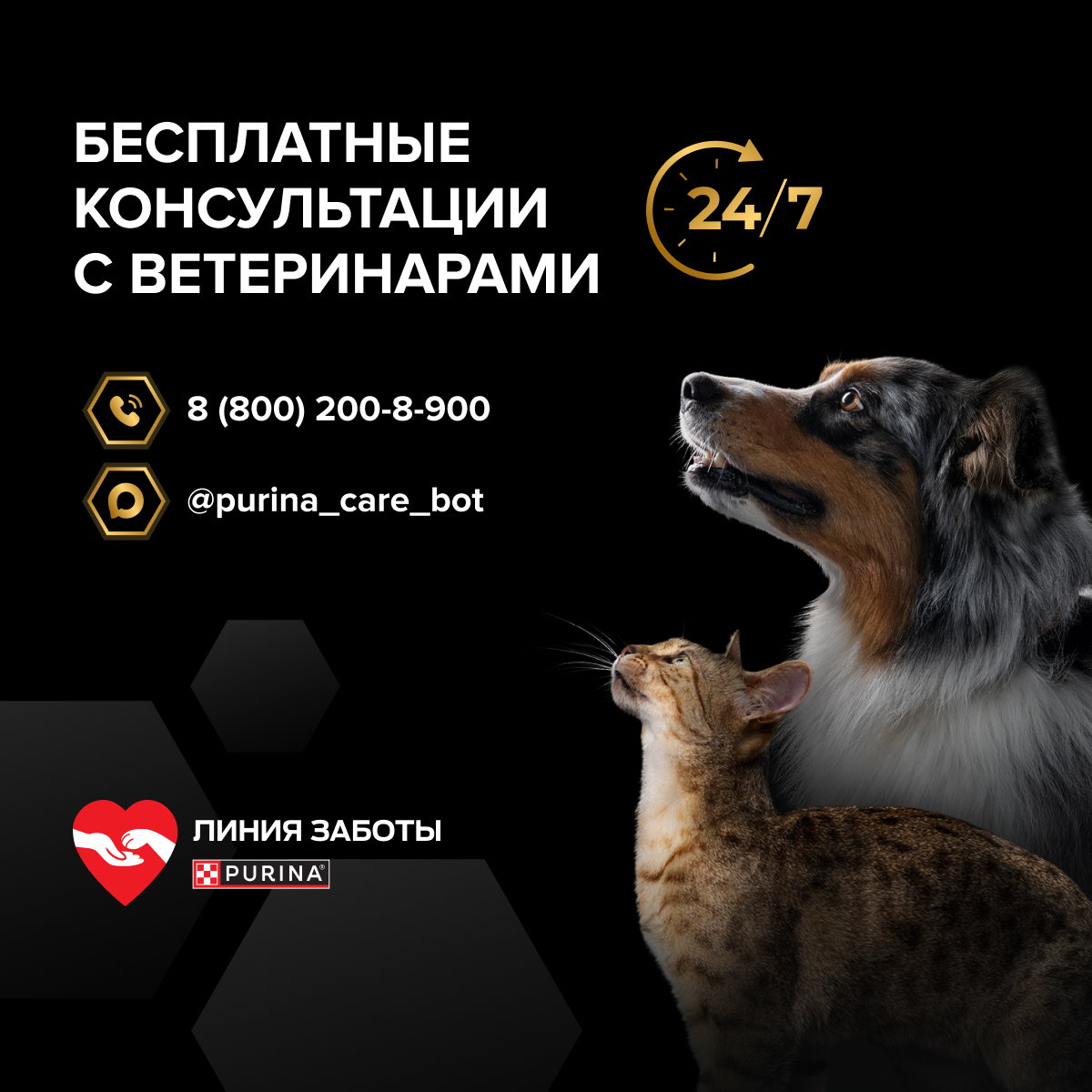 Корм для кошек сухой PRO PLAN Sterilised Adult Delicate Digestion для взрослых стерилизованных кошек с курицей - фото 16