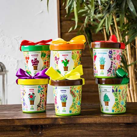 Набор для выращивания Happy Plant