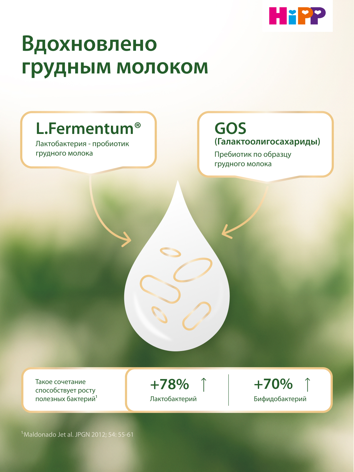 Смесь молочная Hipp 1 Combiotic Expert 900г с 0месяцев - фото 3