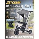 Трехколесный велосипед 41-й Меридиан 10 дюймов