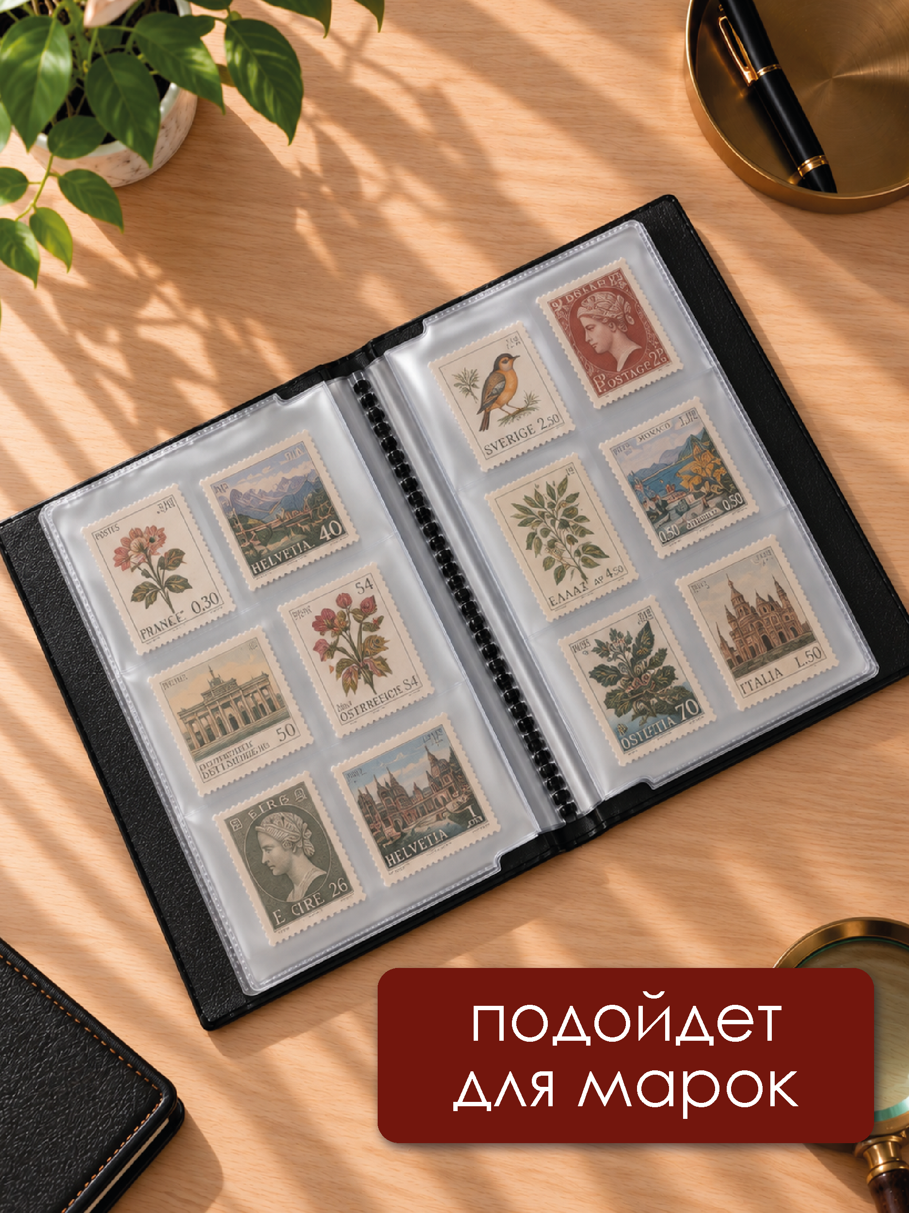 Альбом для банкнот и купюр AXLER 24 листа - фото 6