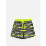 Купальные шорты Acoola