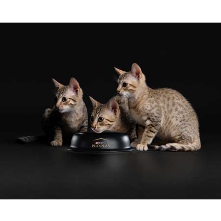 Корм для котят PRO PLAN курица 400г+400г