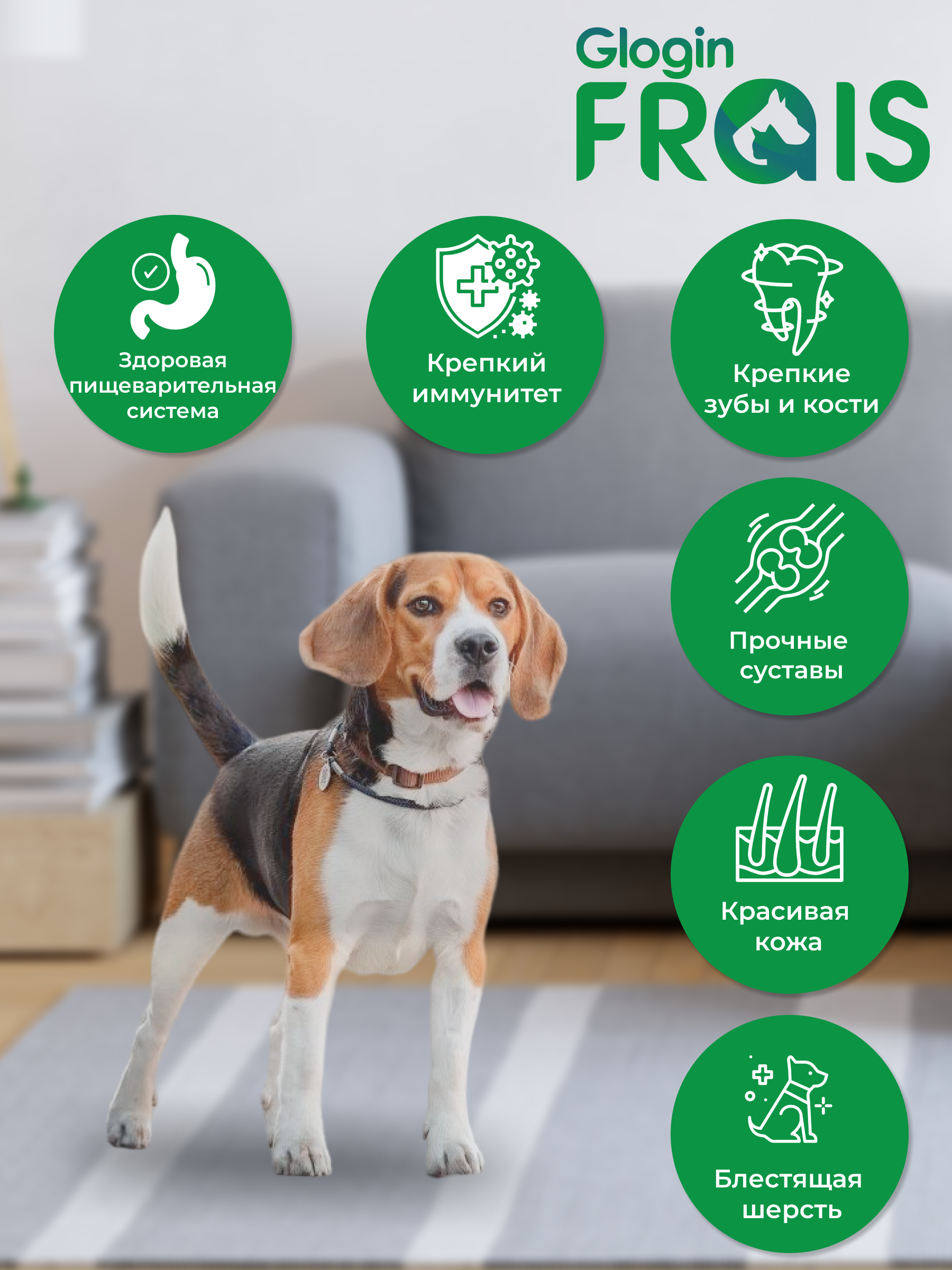 Консервированный корм Frais Влажный корм Classique Dog для собак кусочки мяса с индейкой в желе, 850г - фото 5