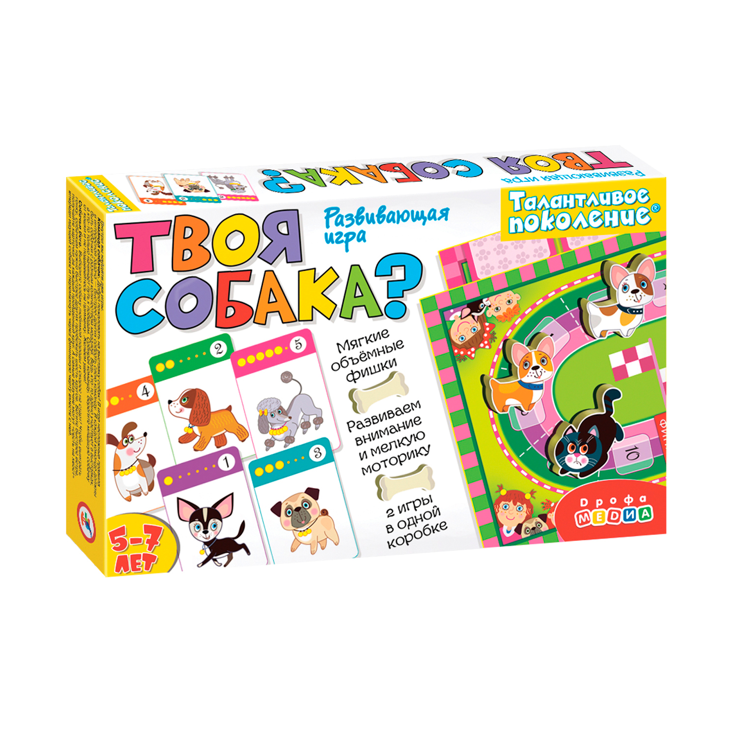 Настольная игра Дрофа-Медиа - фото 1