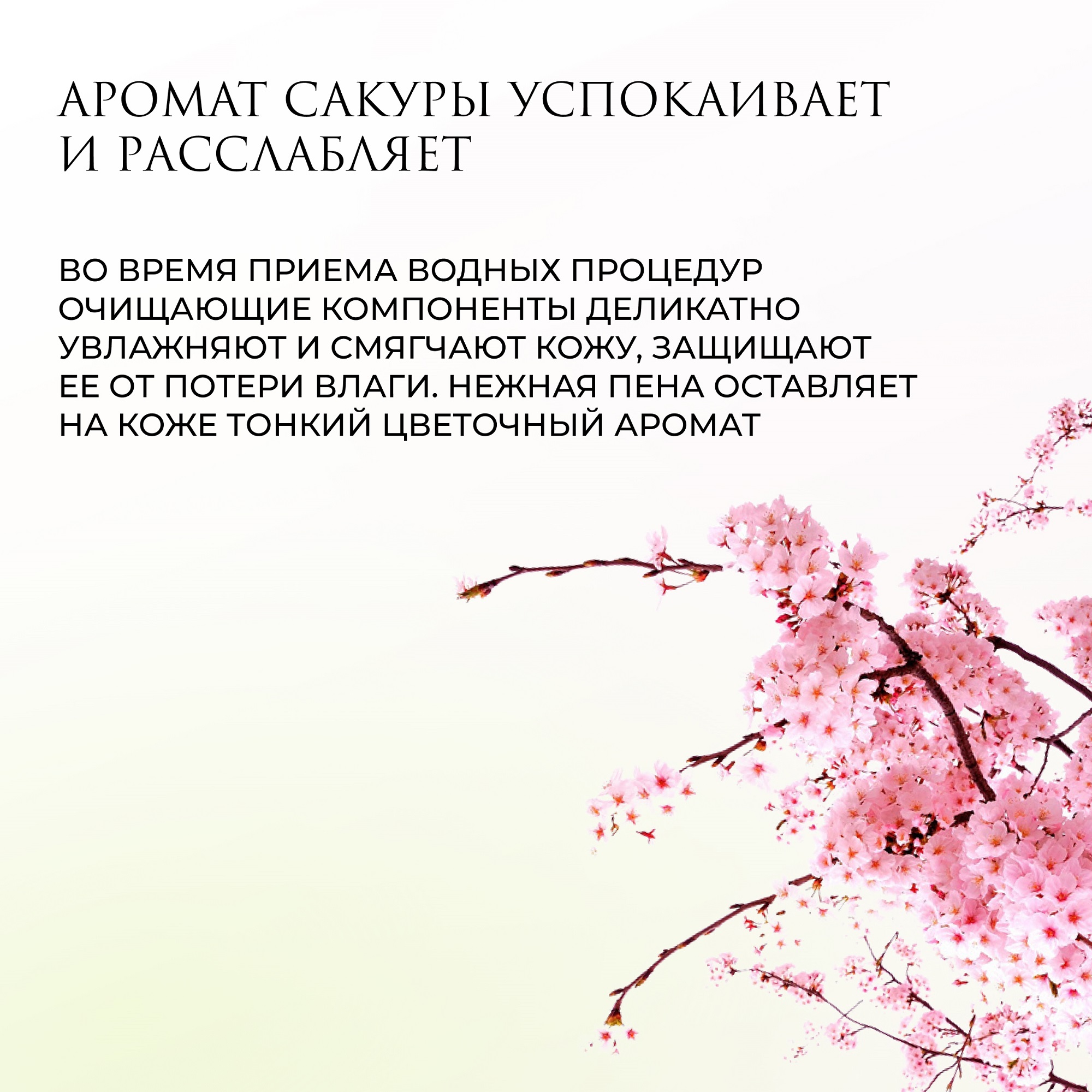 Гель Liby Сакура 2000 мл - фото 3