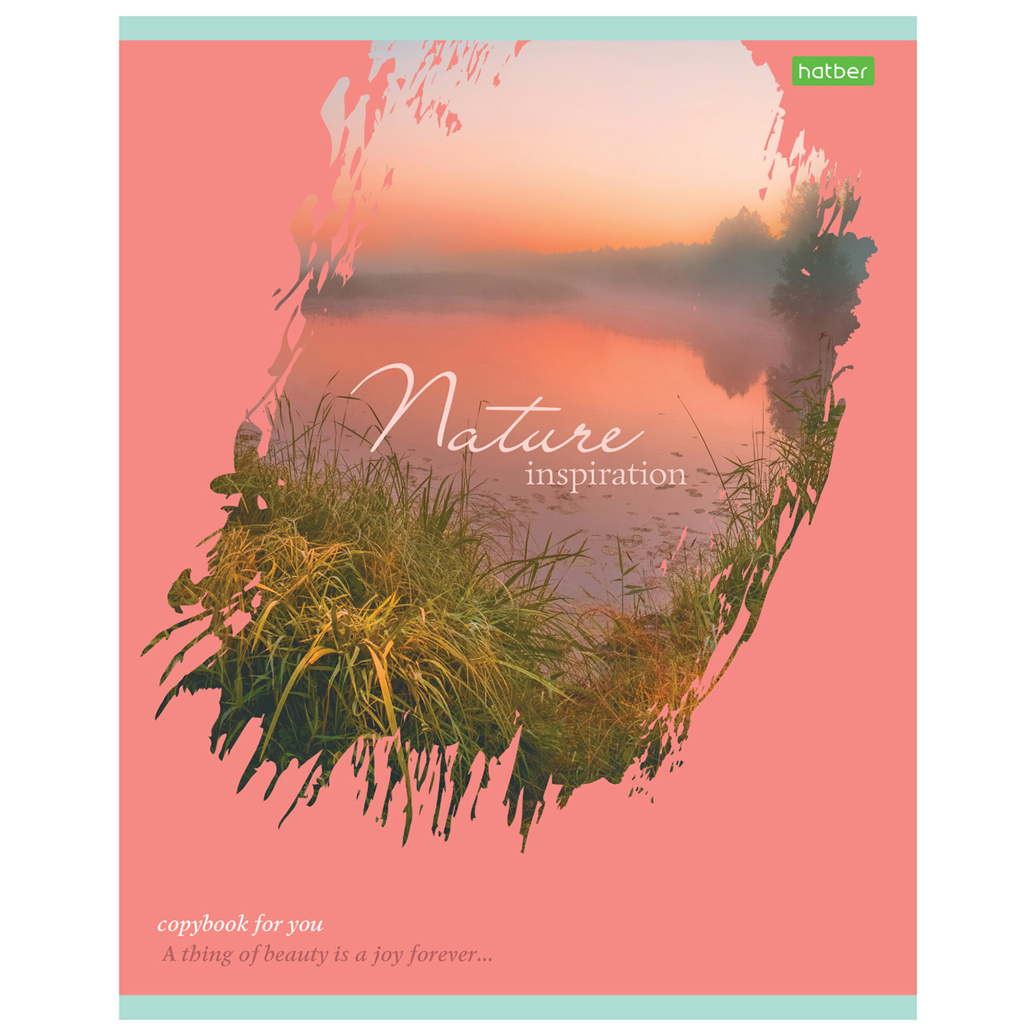 Общая тетрадь Hatber клетка 80 лист. в ассортименте - фото 5