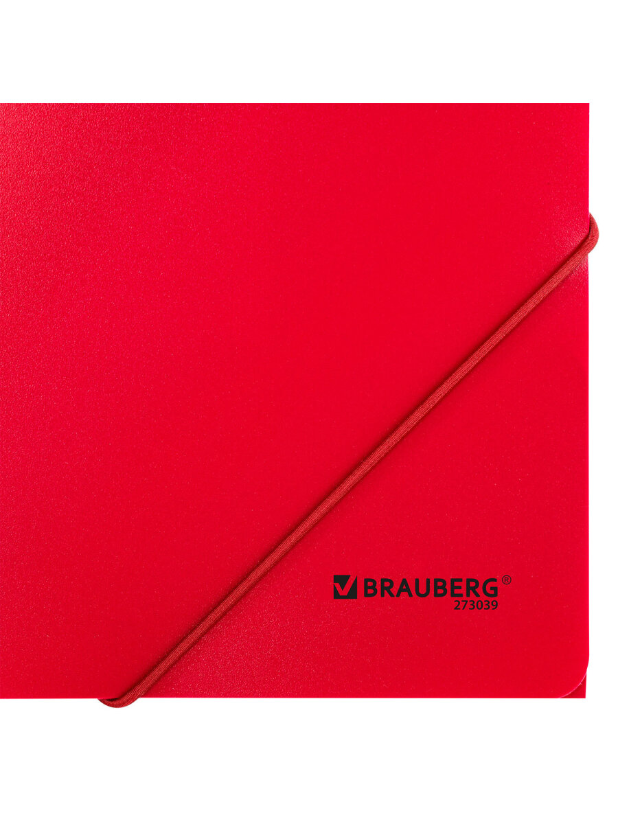 Папка для тетрадей Brauberg на резинках А4 - фото 6