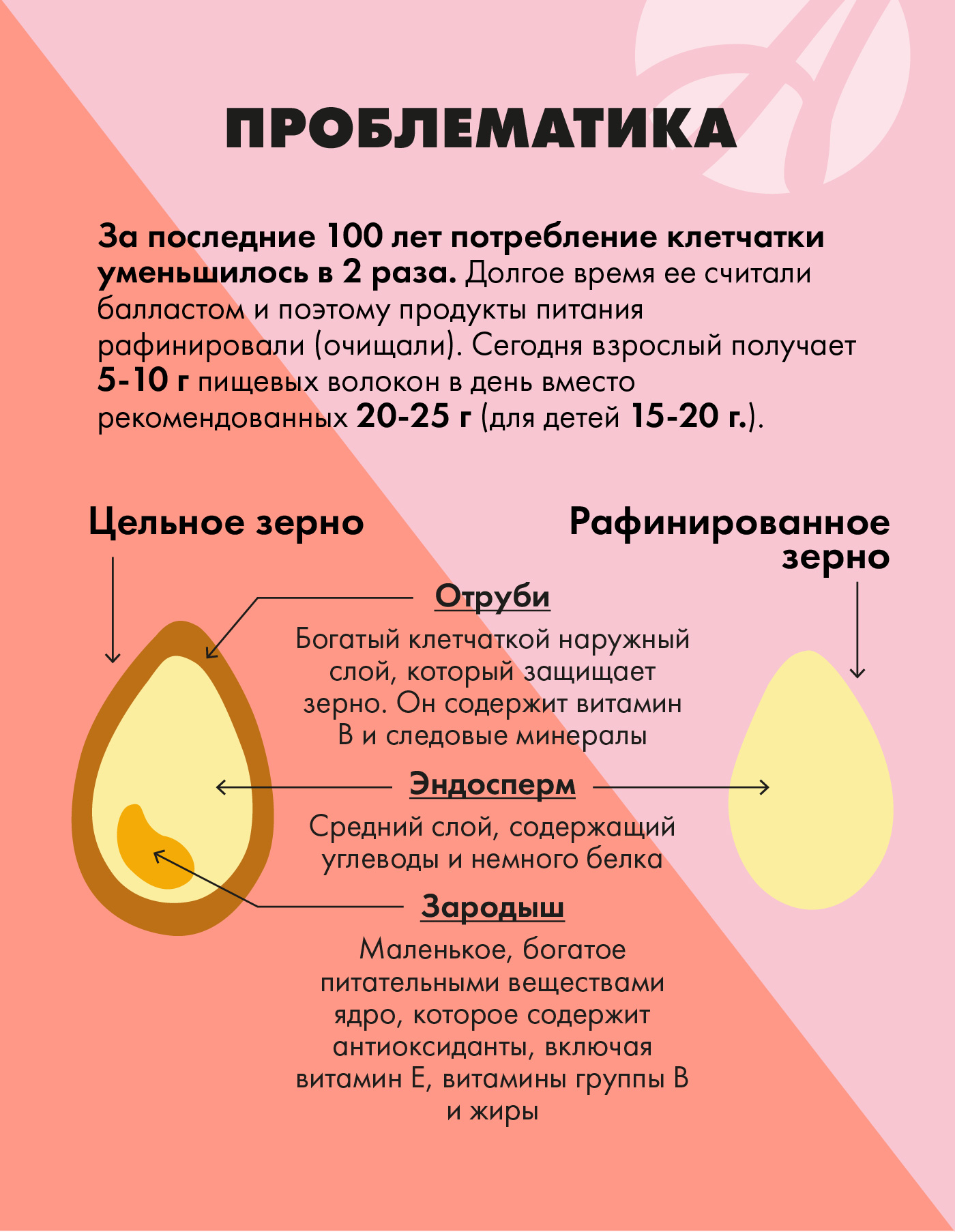БАД Арт Лайф Виталити Фуд Пробио селекшн Клетчатка и метабиотики - фото 5