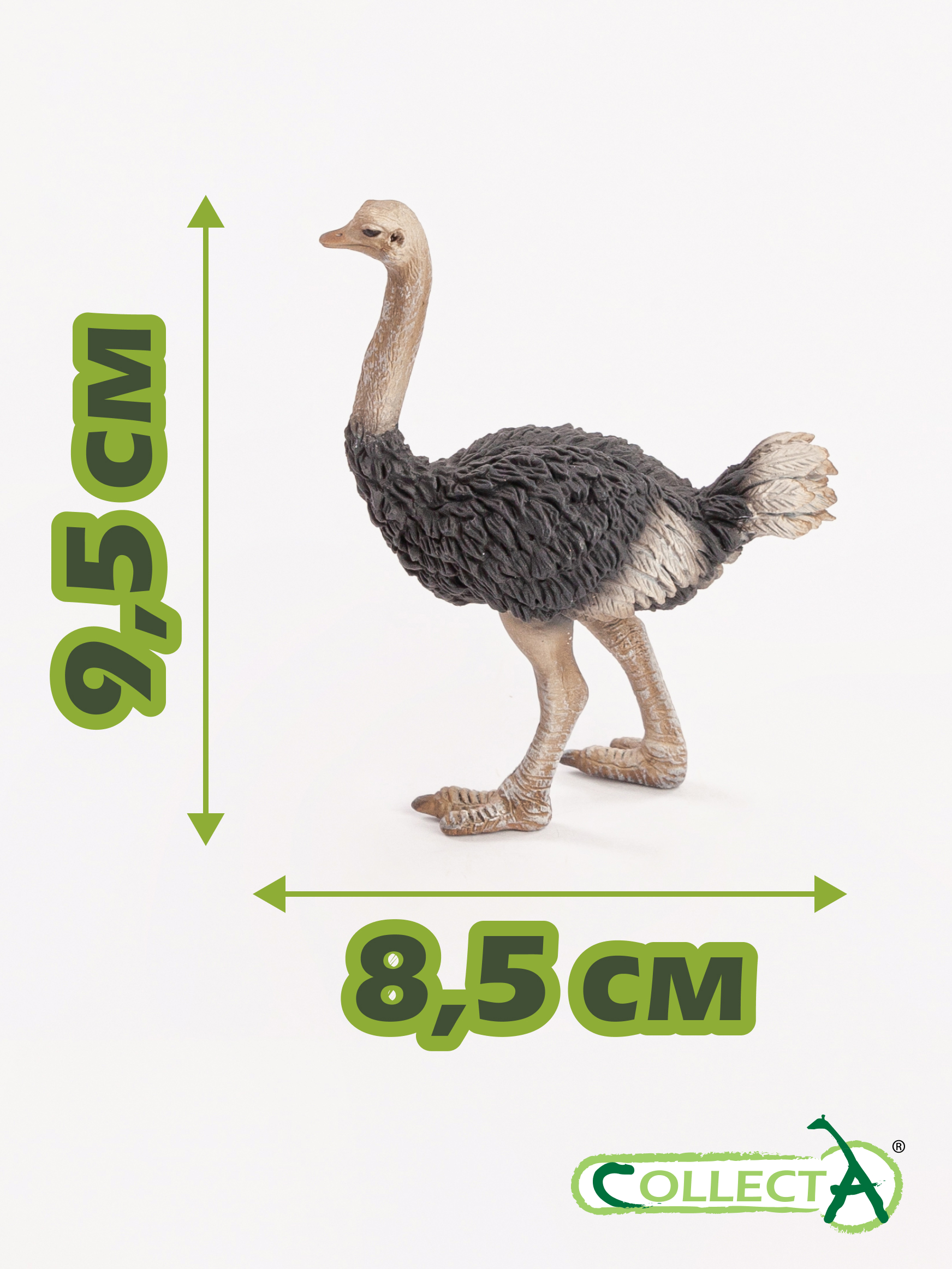 Фигурка Collecta Страус - фото 2