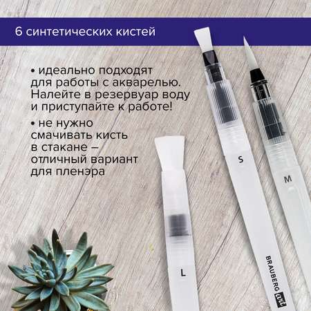 Кисть Brauberg 6 шт.