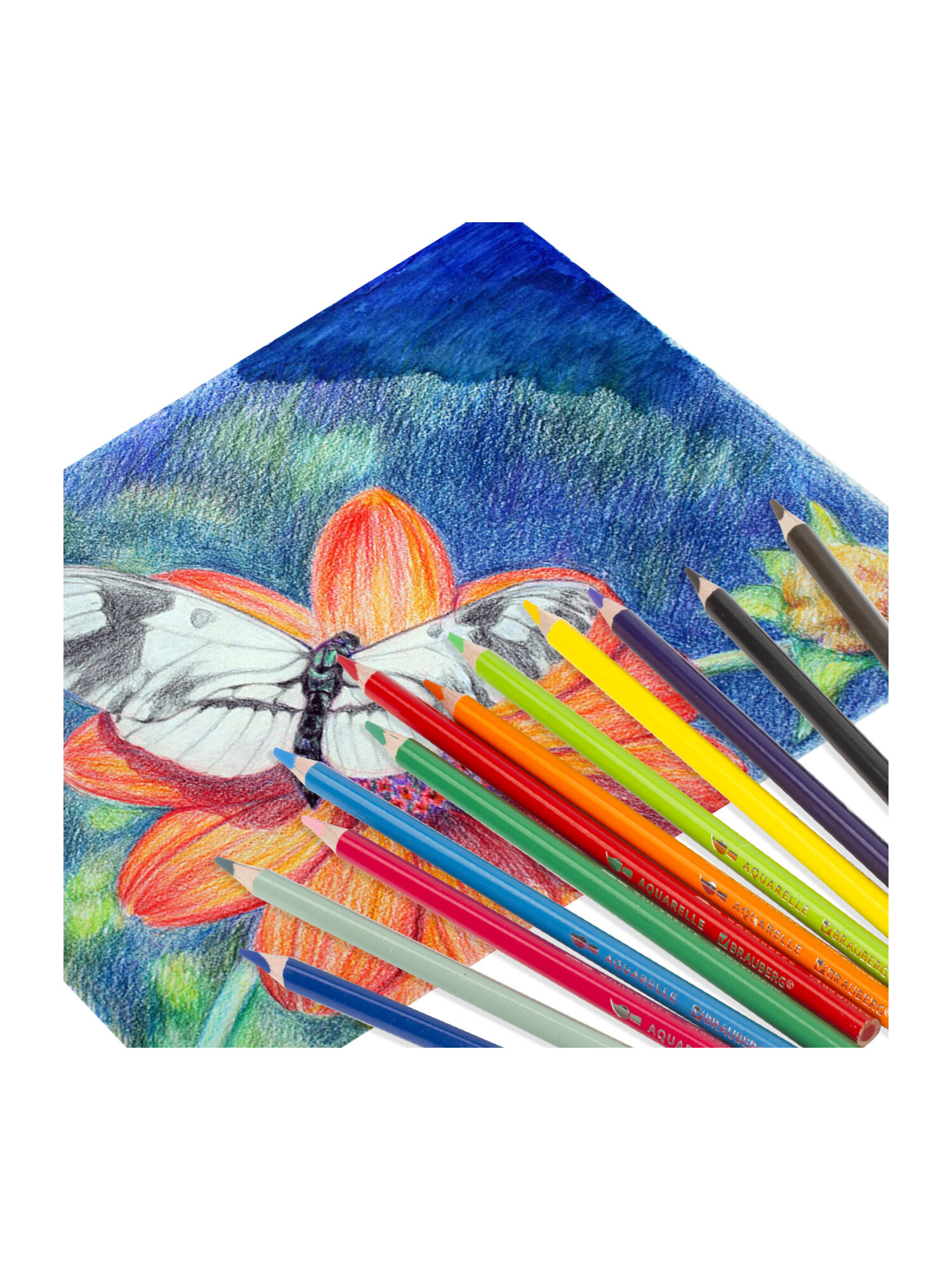 Карандаши акварельные Brauberg 12 шт. - фото 21