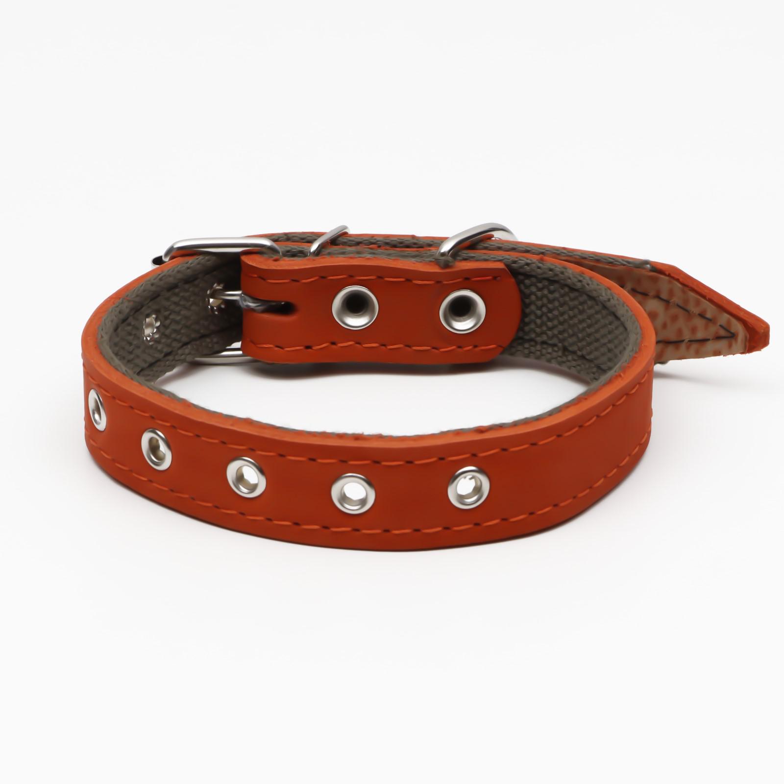 Ошейник Пижон безразмерный 54 х 2.5 см рыжий - фото 2