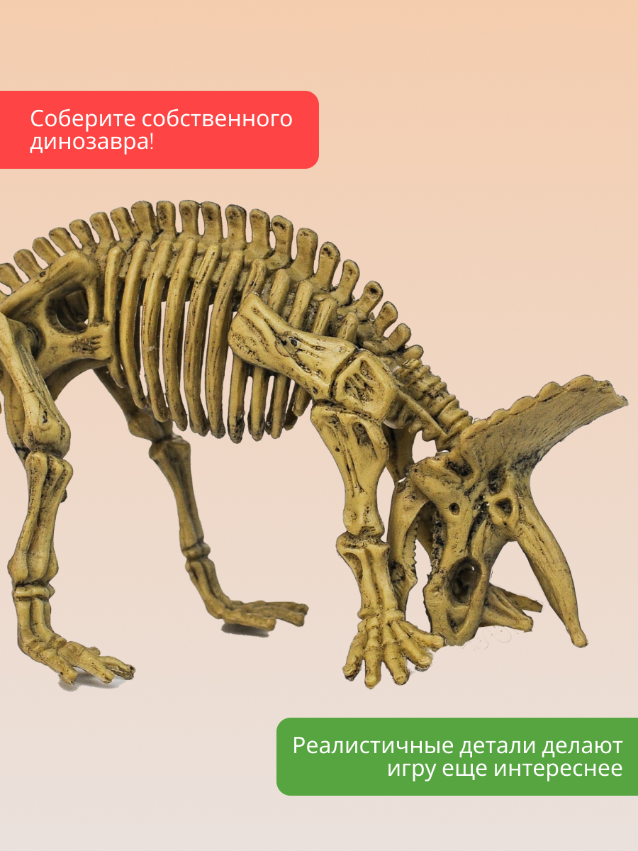 Набор для раскопок KONIK Science - фото 10