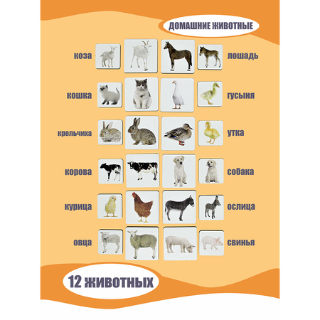 Игрушка ViromToys сортер Чей малыш