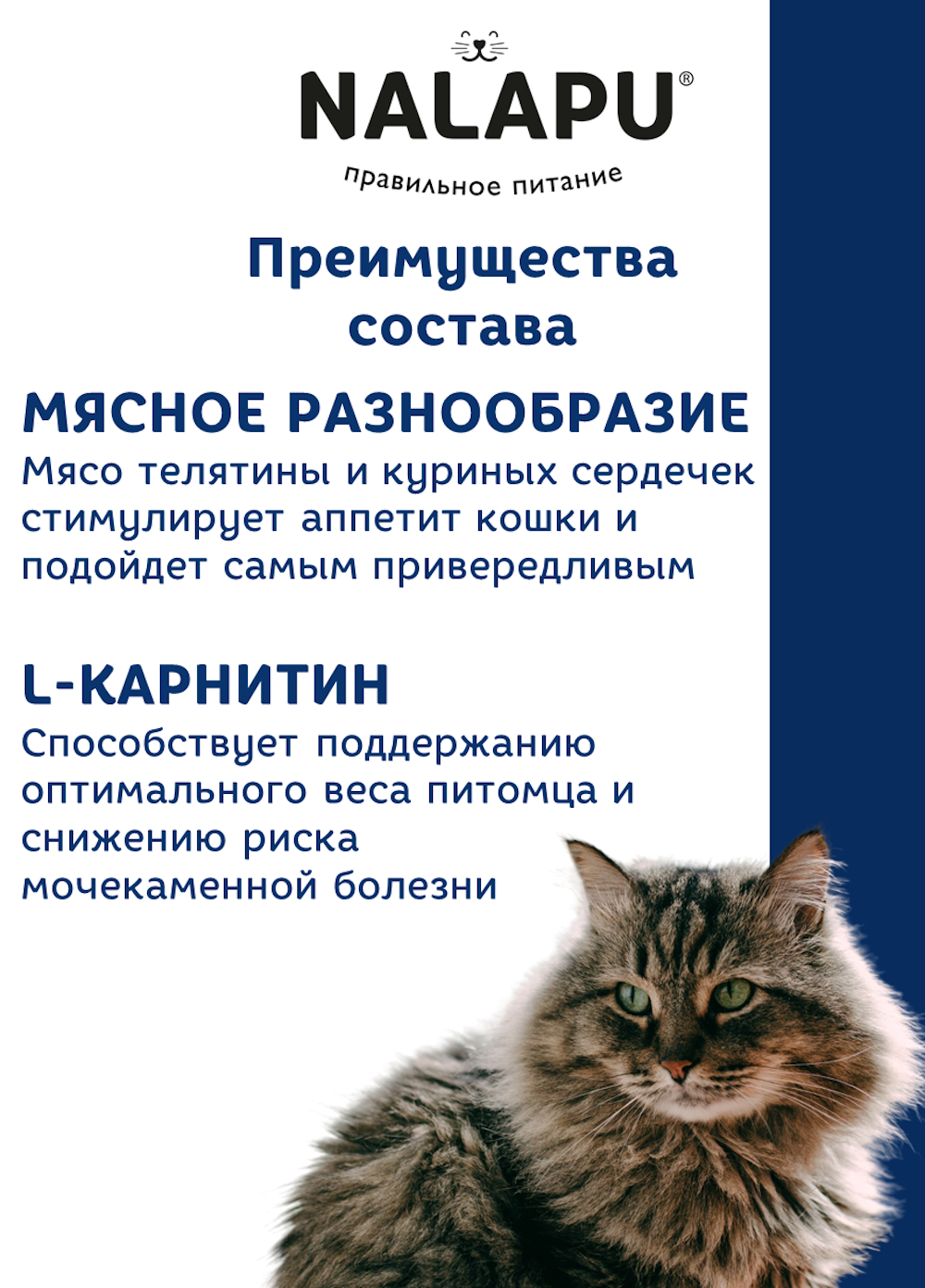 Корм для кошек NALAPU The Best Appetite с мясом телятины и куриными сердечками в соусе 77г - фото 4