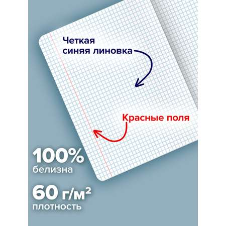 Общая тетрадь Brauberg клетка 48 лист. 5 шт.
