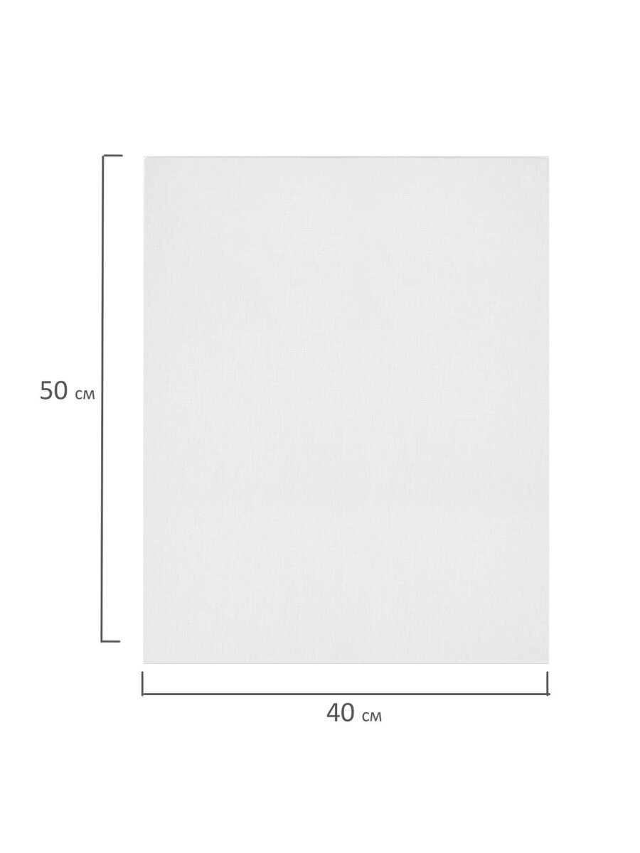 Холст для рисования Brauberg на картоне большой 40x50 см набор 2 штуки - фото 3
