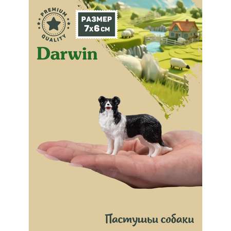 Фигурка DARWIN Собака Бордер-колли