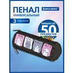 Пенал Brauberg аниме-кот