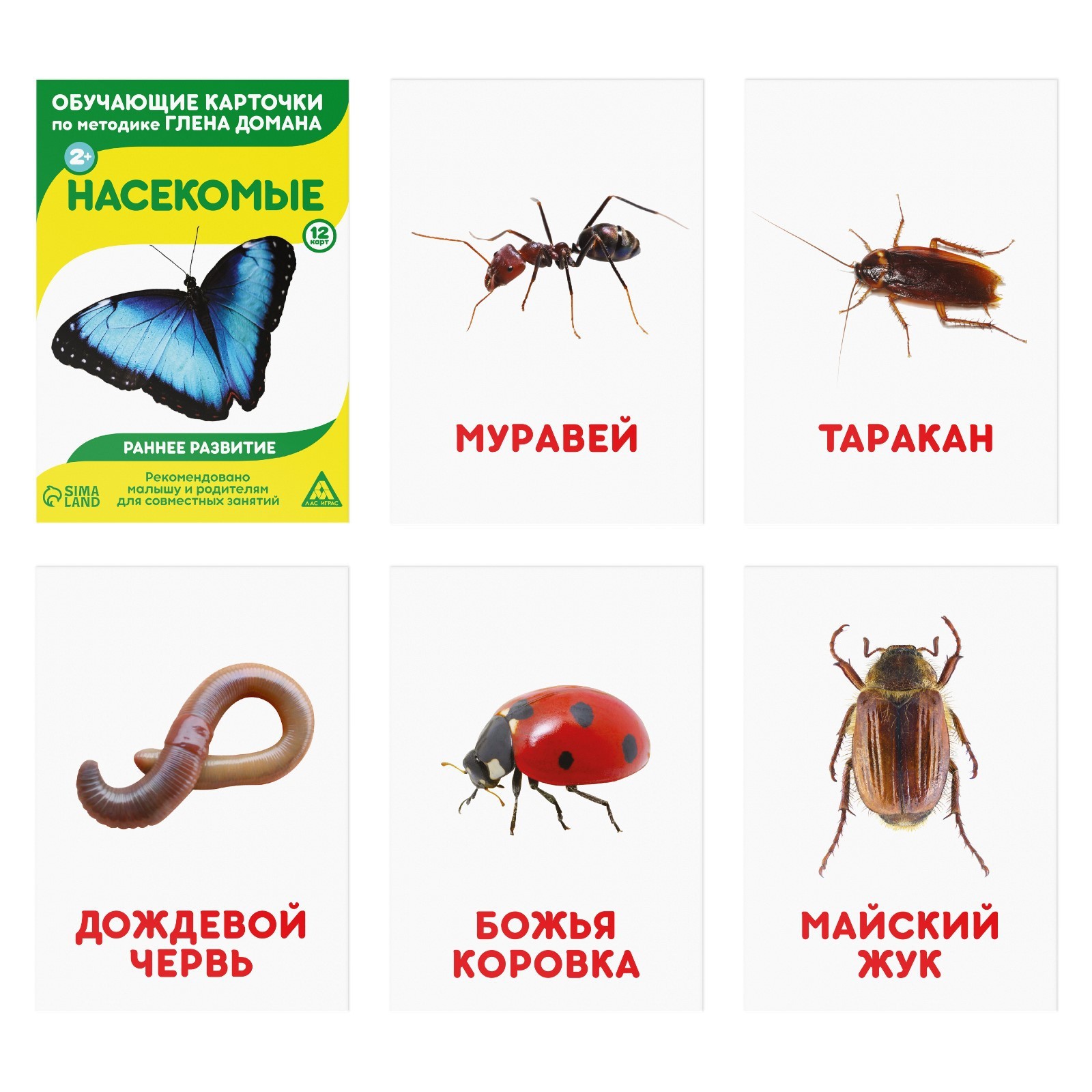 Карточки обучающие Лас Играс Насекомые по методике Г.Домана - фото 2