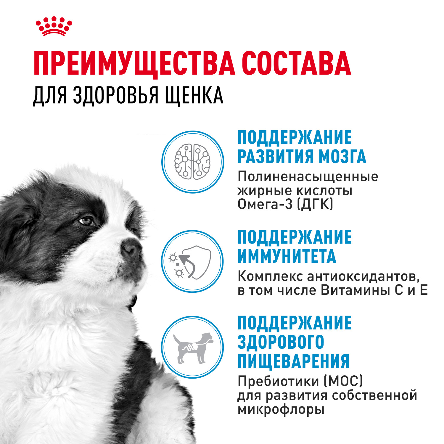 Корм для щенков ROYAL CANIN гигантских пород 2-8месяцев 3.5кг - фото 3