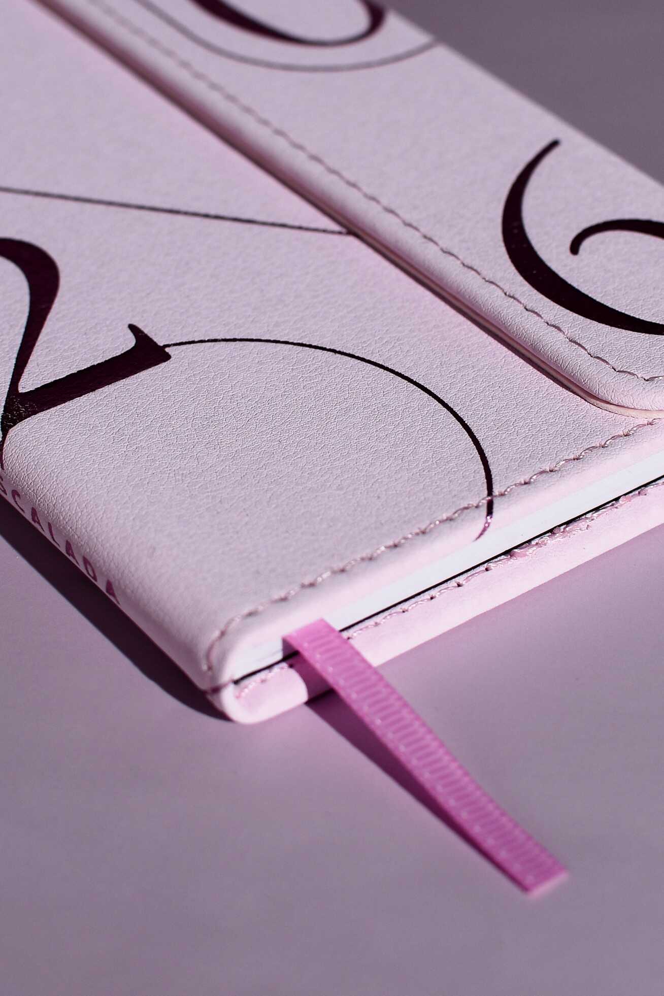 Ежедневник Феникс + ESCALADA 64 лист. - фото 17