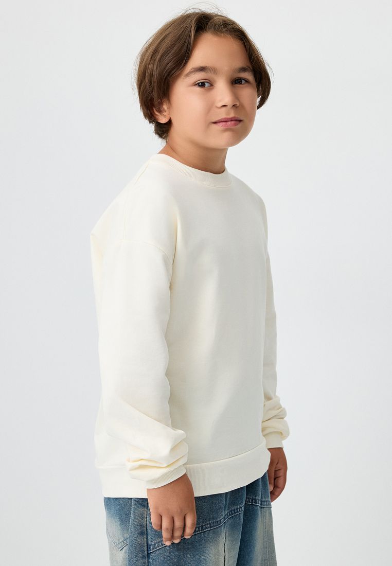 Свитшот ELEMENTARNO MDB00016 - фото 4