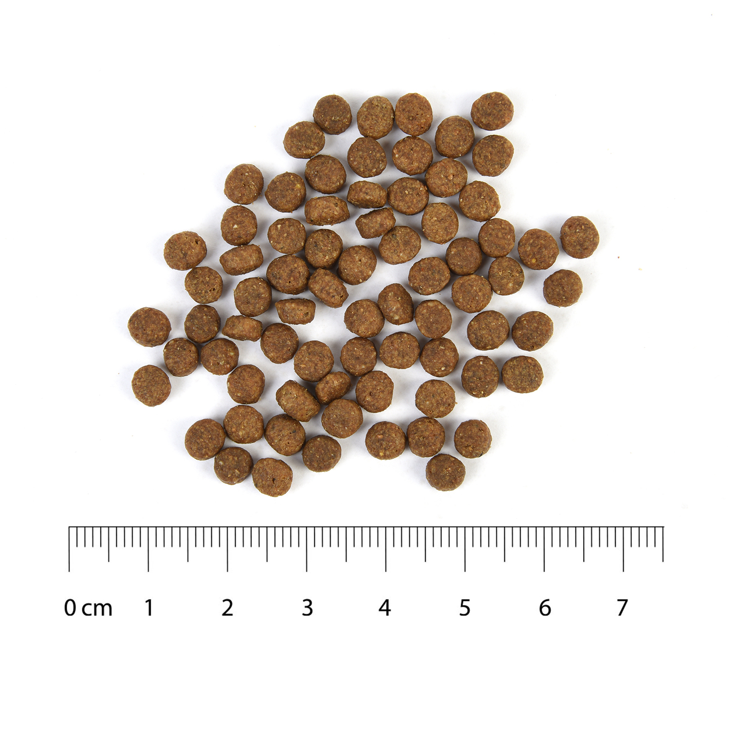 Корм для щенков Carnica 3кг ягненок-рис для средних и крупных пород сухой - фото 6