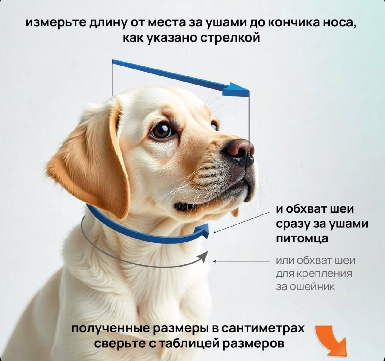 Воротник для животных VetЗабота VetЗабота №7.5 защитный на липучке - фото 3