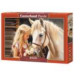 Пазл Castorland классический