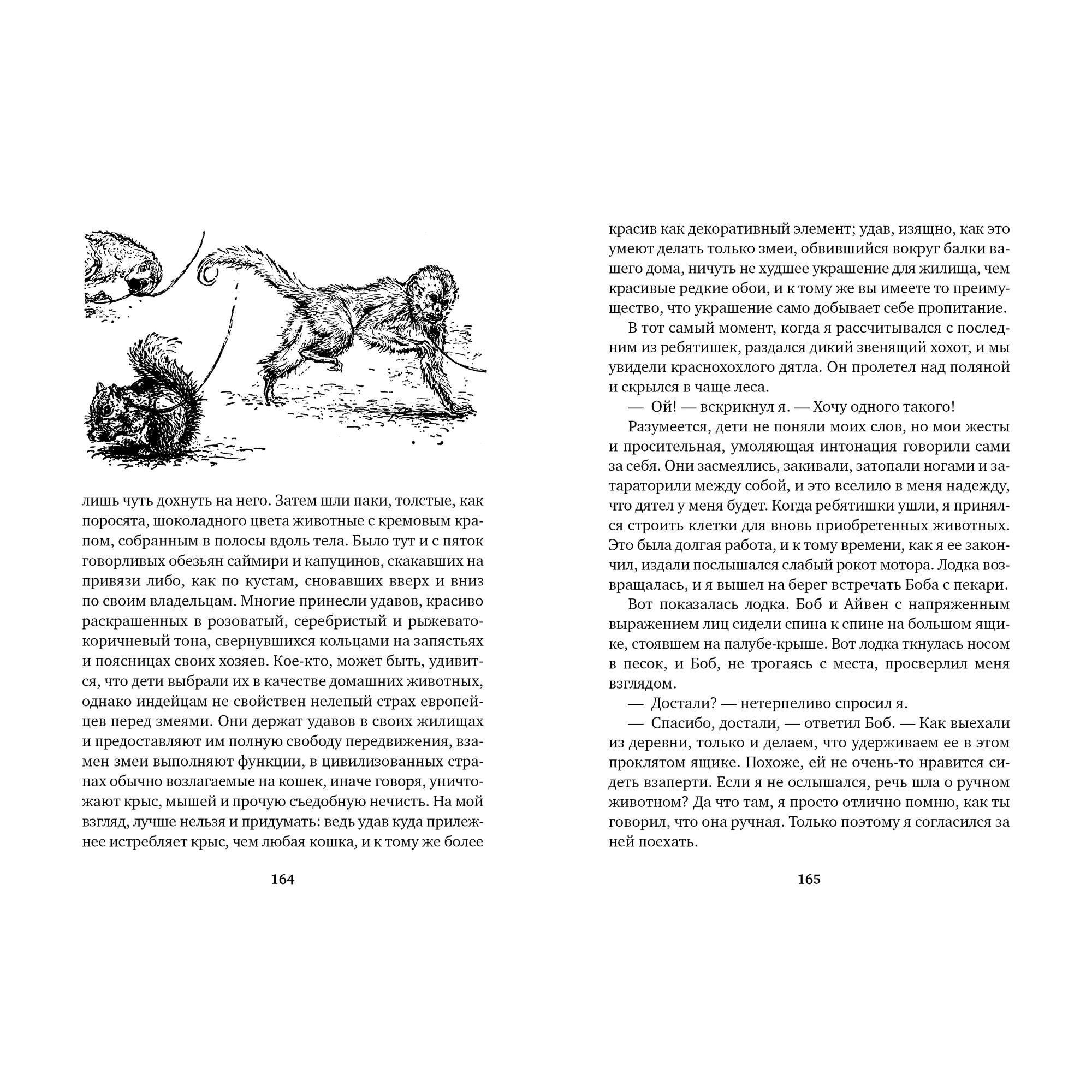 Книга АЗБУКА Три билета до Эдвенчер. Под пологом пьяного леса - фото 7