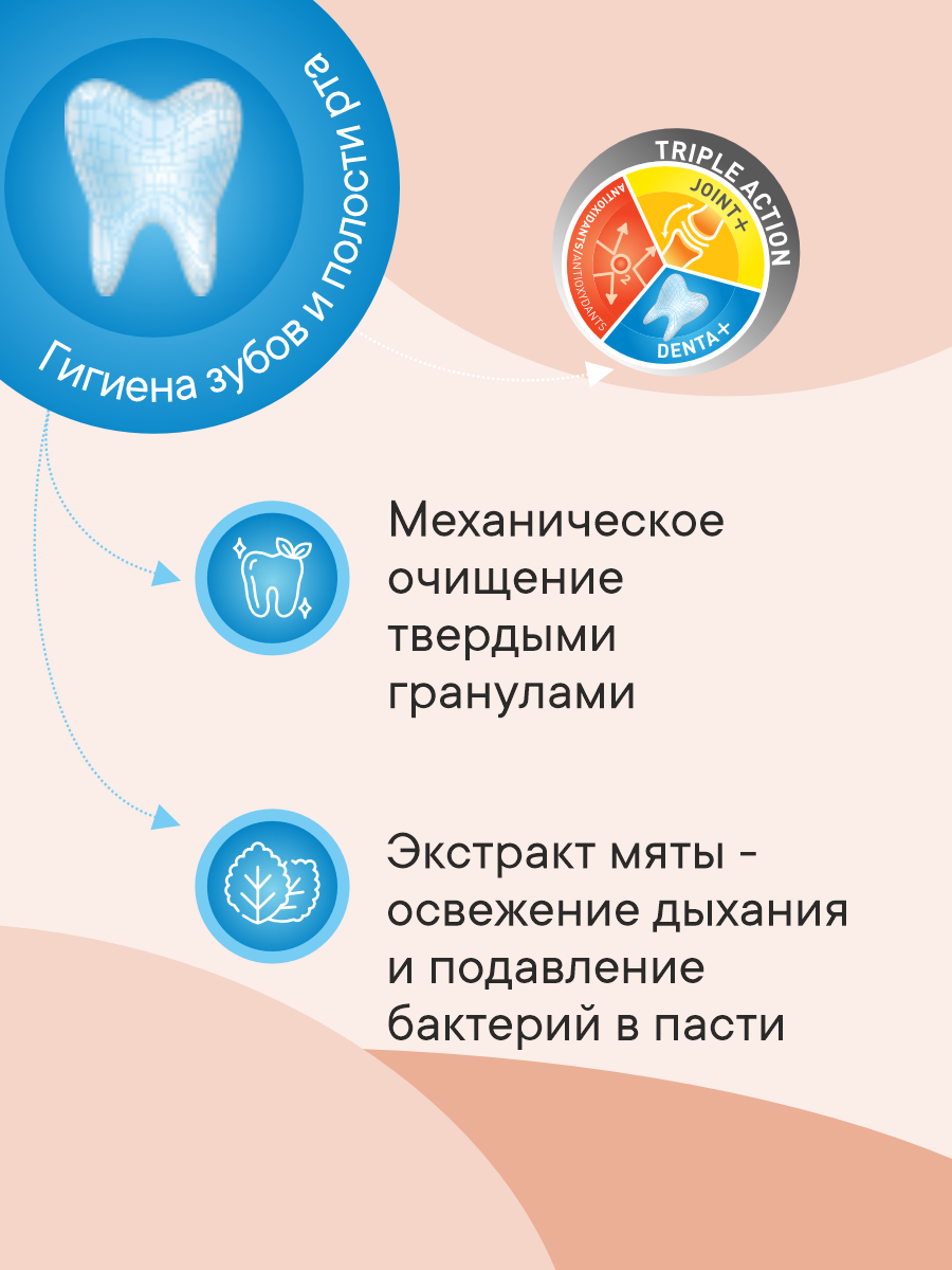 Корм сухой 1st Choice для пожилых собак мелких пород на курице 2.72кг - фото 4