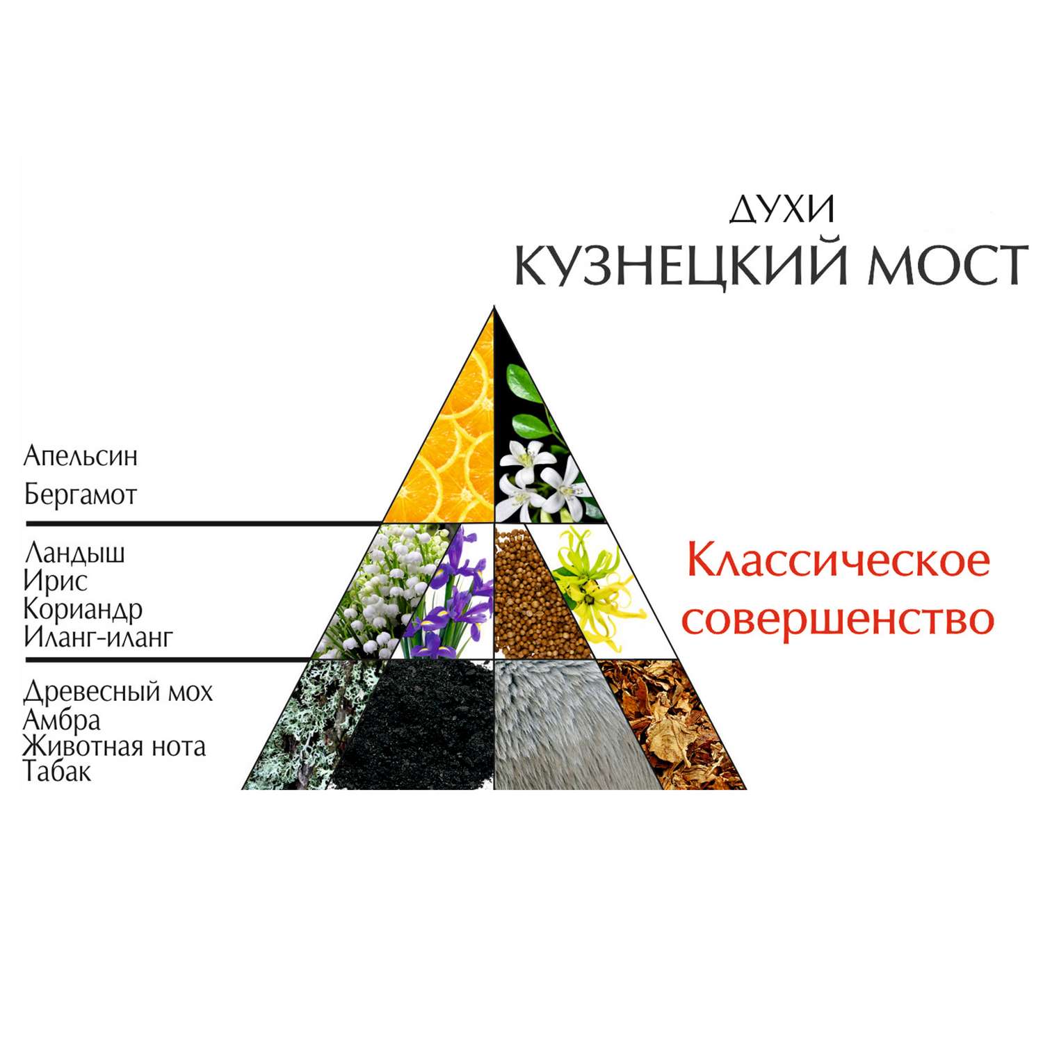 Духи Новая заря Кузнецкий мост 16мл - фото 2