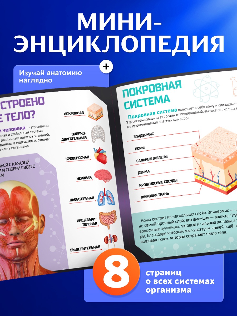 Эврики - фото 5