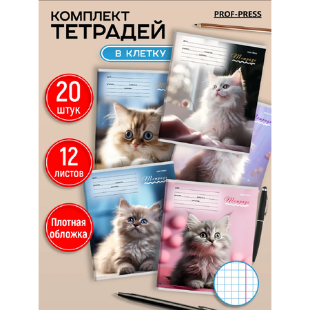 Тетрадь Prof-Press клетка 12 лист. 20 шт.