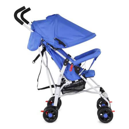 Коляска прогулочная Babyton Zoo Blue