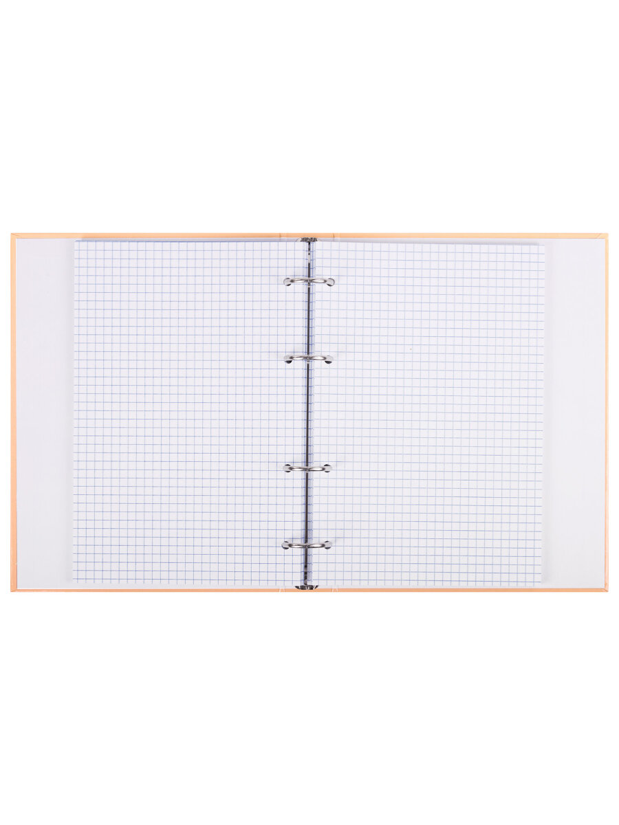 Тетрадь со сменным блоком Brauberg клетка 120 лист. - фото 9