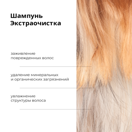 Шампунь for Yorks PrimeClean ProAnimal для йорков профессиональный очищающий для собак