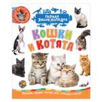 Книга Росмэн Кошки и котята Первая энциклопедия